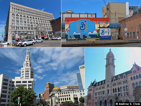 Buffalo composite