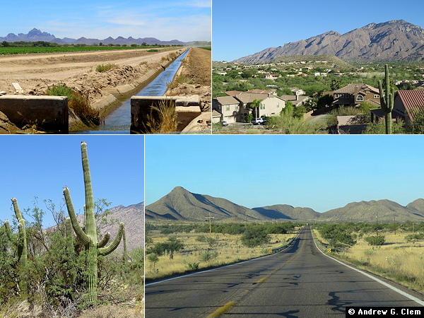 Arizona composite